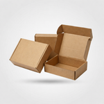 Corrugated Mailer Box (Not Printed) 1